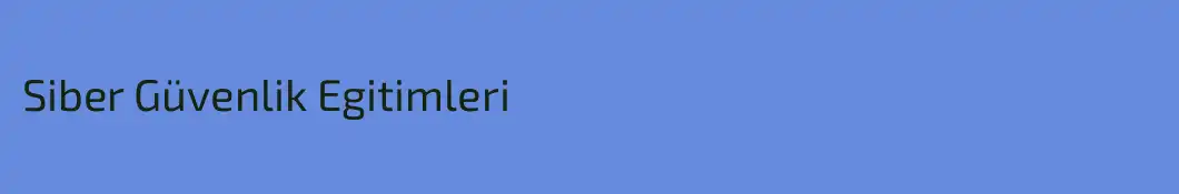 Siber Güvenlik Egitimleri